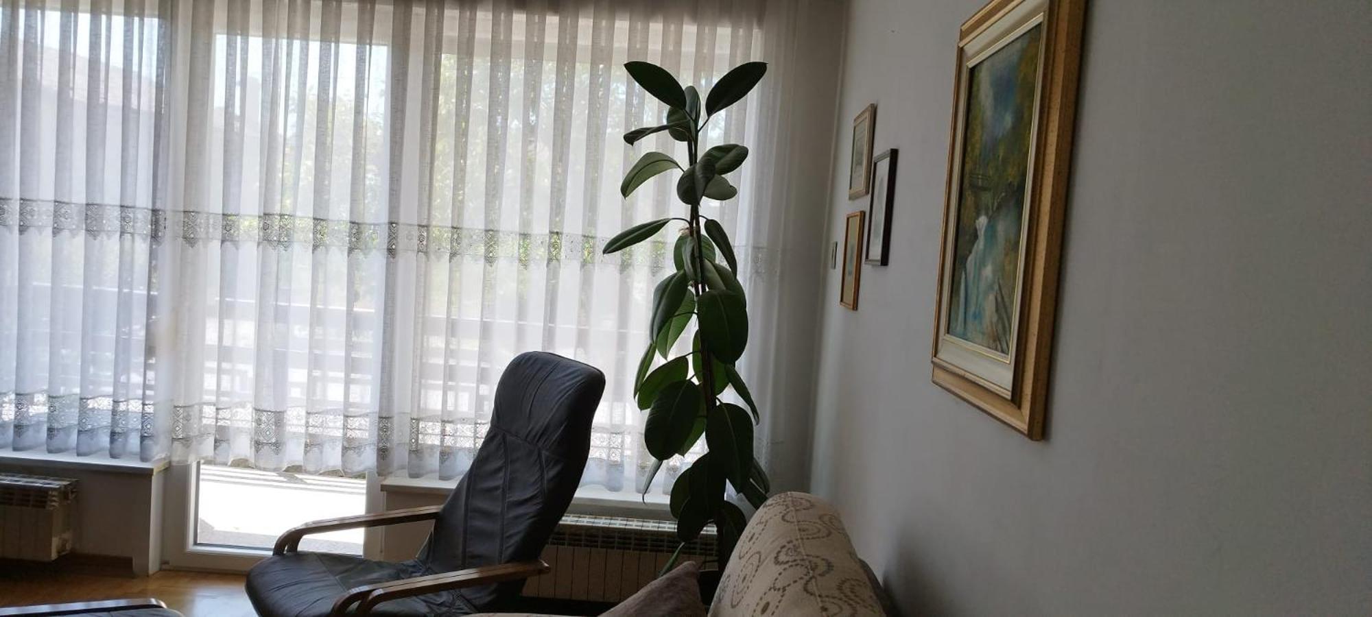 7 Flower Street Apartment Sempeter pri Gorici Exterior photo